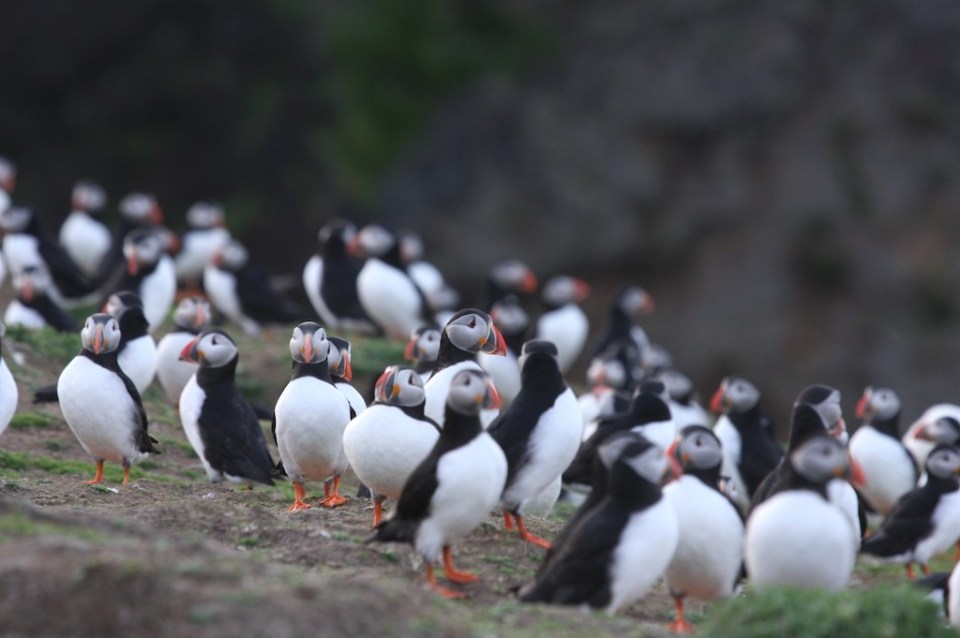 places to visit in the UK in spring